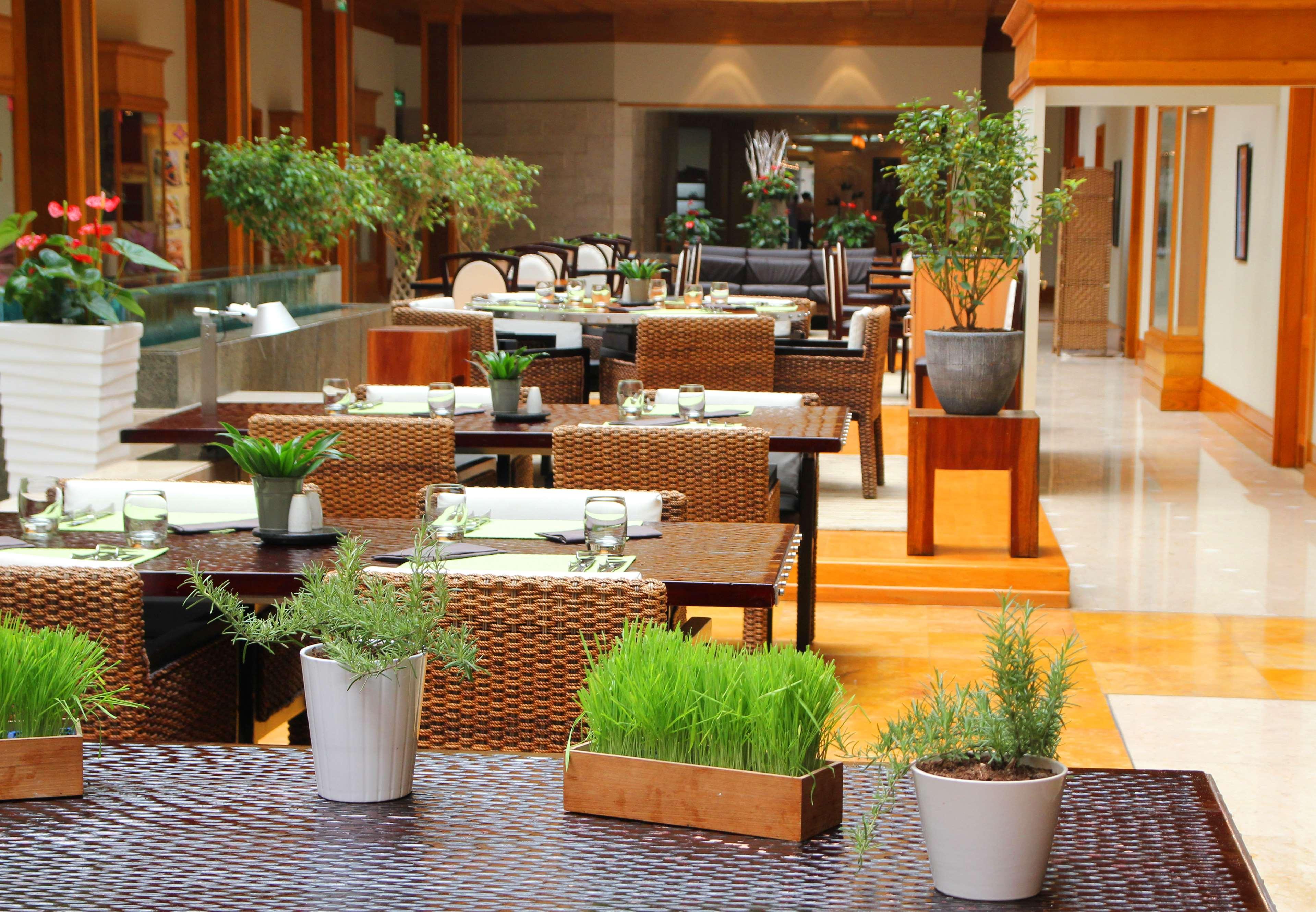 Hotel Radisson Blu Hotel, Deira Creek